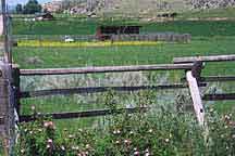 Horse Accomodations