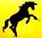 Wild Horse Ride