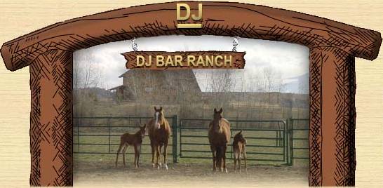 Welcome to the DJ BAR RANCH, We are pround of these 2001 babies!