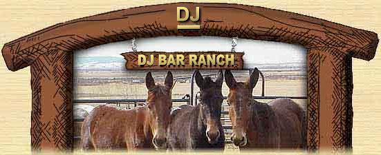 Welcome to DJ Bar What's the latest News!