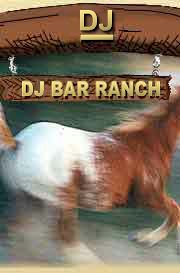 Montana Appaloosa Running, Texas Wander