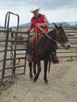 Fernando starting Ebony Midnight for Jehnet Carlson