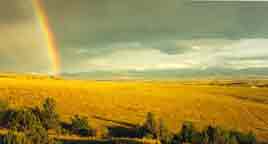 Rainbow Field