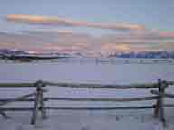 Jack Leg Fence