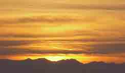 Amber Skies