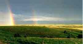 Double Rainbow