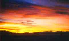 Painted Sky