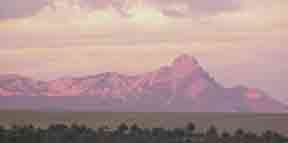 Purple Mountains Majesty