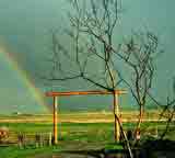 Rainbow Gallatin Valley