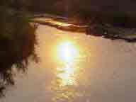 Sun Reflected in Spring