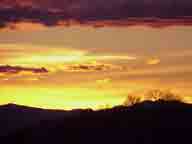 Golden Skies