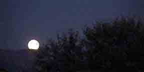 Moon Rise