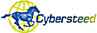 Cybersteed