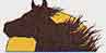 Horse Rentals