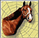 Horse Web