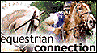 Equestrian Connection