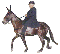 American Gaited Mule Association