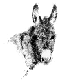 British Donkey Soiety