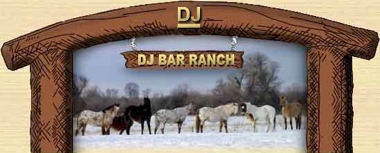 Montana Horses in Winter at the DJ Bar Ranch