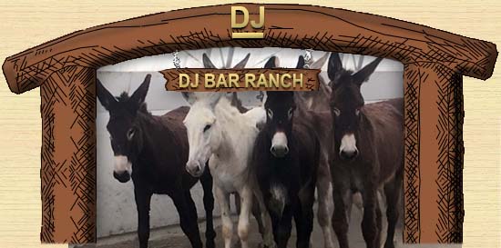Donkey Mamas