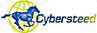 Cybersteed